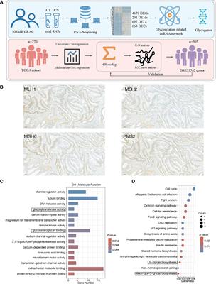 Robust Glycogene-Based Prognostic Signature for Proficient Mismatch Repair Colorectal Adenocarcinoma